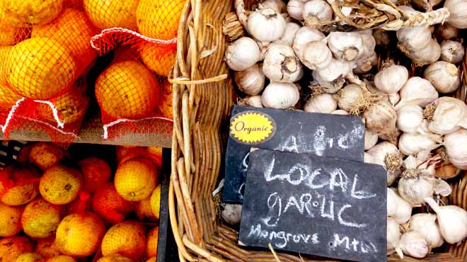 Garlic at Markets