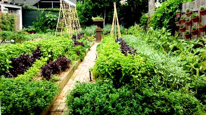 Chiswick Kitchen Garden
