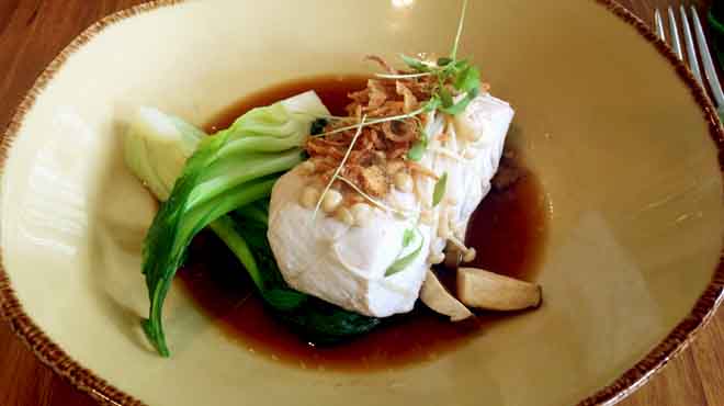 Steamed Trevalla, Ginger, Shallot, Mushrooms 