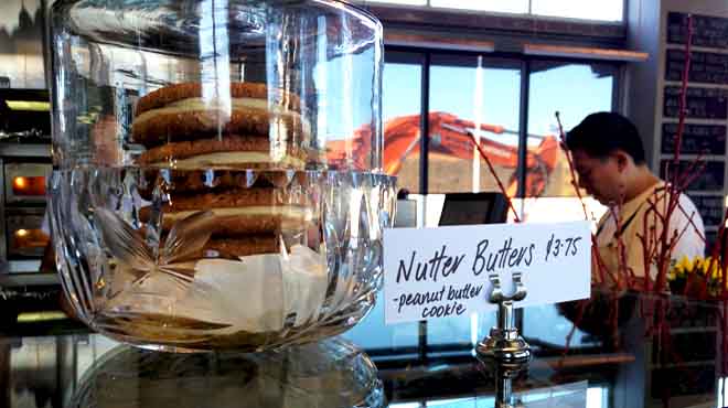 Cipro Pizza Nutter Butter Biscuts