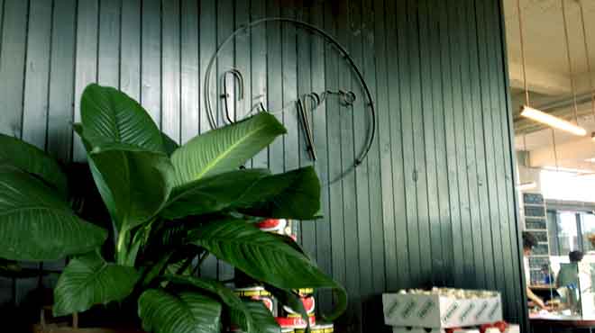 Cipro Pizza al Taglio, Alexandria