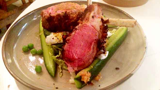 Spiced lamb chop on cool cucumber, mint , pea salad yogurt