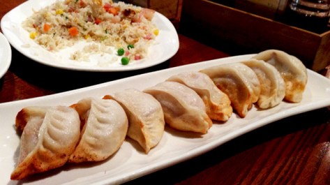 Pan Fried Pork Dumpling